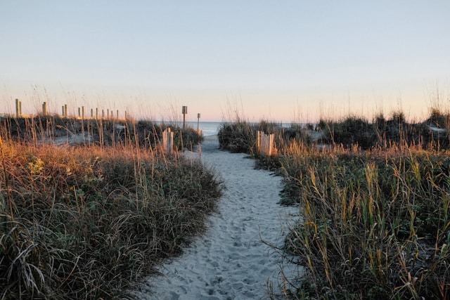 A waterfront trail in Charleston.