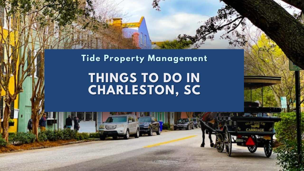 Things to Do in Charleston, SC